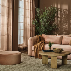 Introducing Pantone Colour of the Year 2025: Mocha Mouss