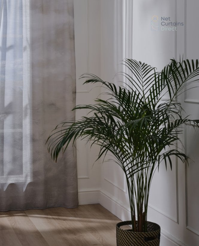 Clarke & Clarke Nairobi 100% Cotton Voile Curtain M2M