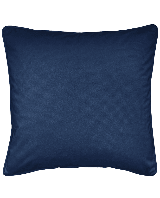 Enhanced Living Velvet Cushion Cover