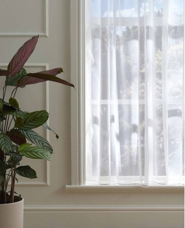 Sapphire Plain Ivory Voile Curtain M2M